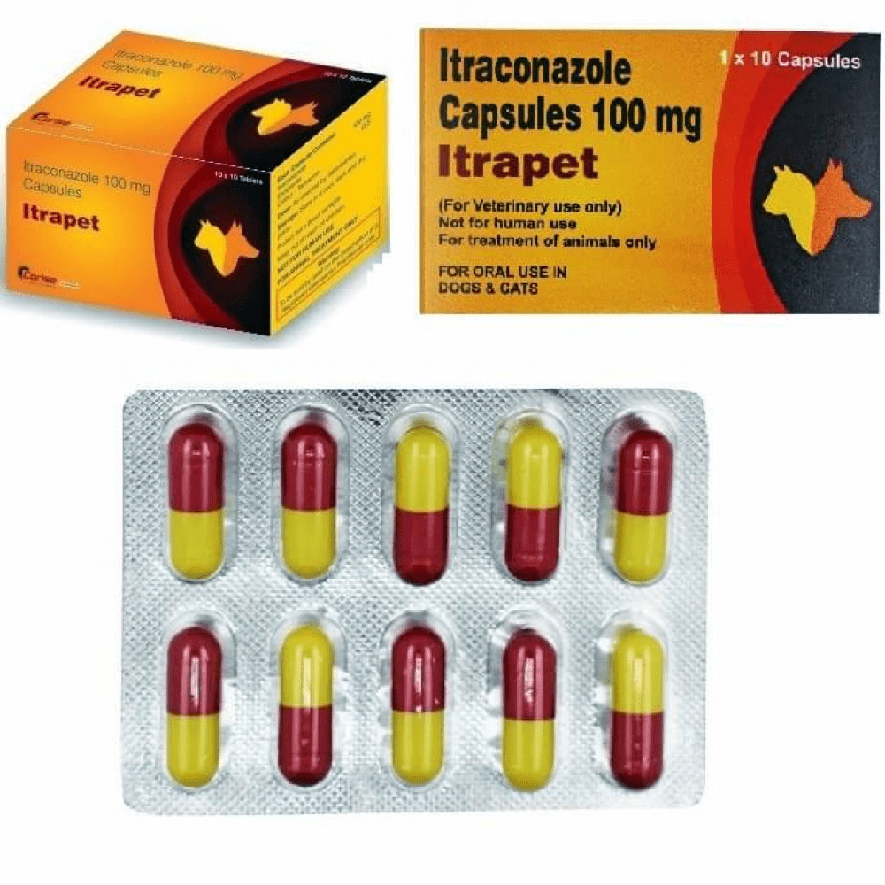 Corise Itrapet 100mg Capsules (Itraconazole) for Dogs and Cats image 3