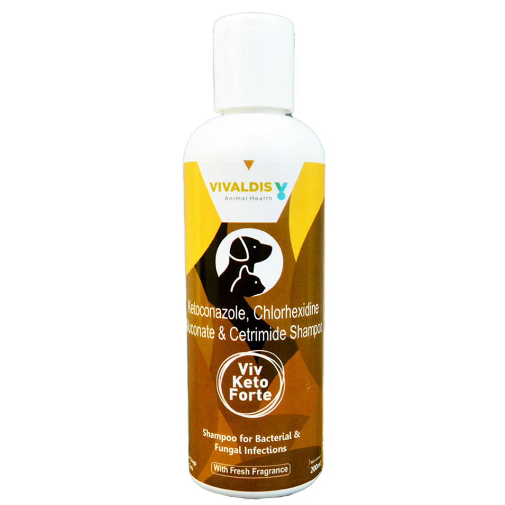 Vivaldis Viv Keto Forte Antifungal & Antibacterial Shampoo (200ml) image 2