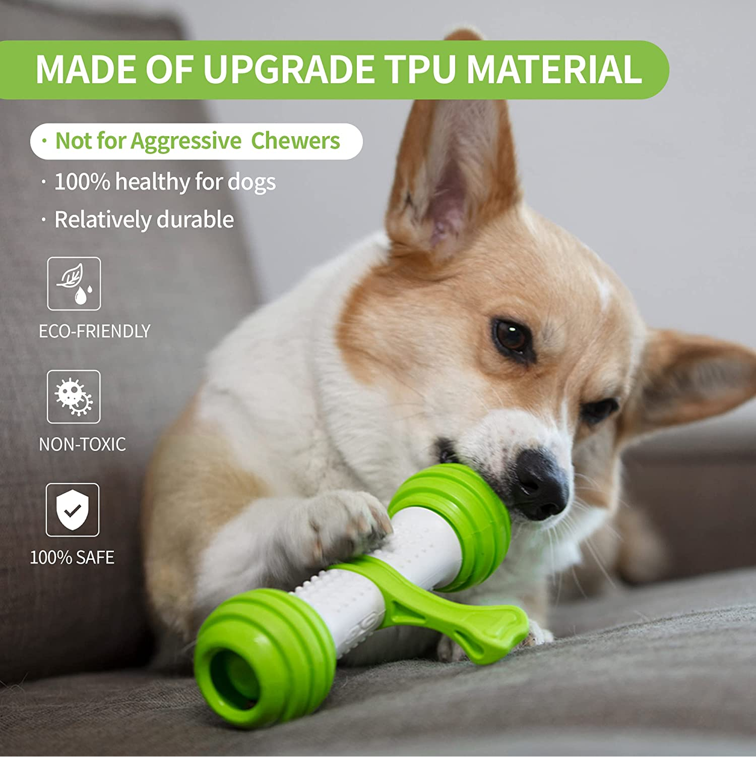 Pet Geek Playbone Toy for Dogs (White/Green) image 3
