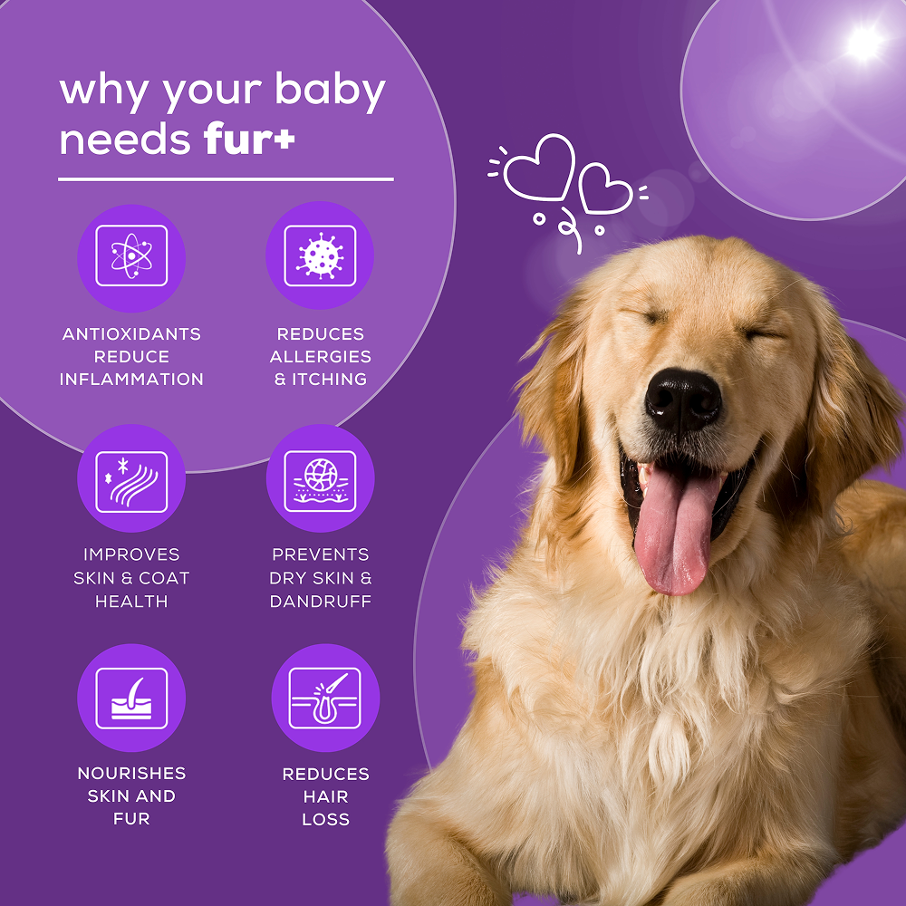 Venttura Fur Plus Chewable Skin & Coat Supplement Tablets for Dogs image 4