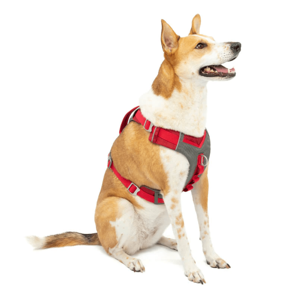 Kurgo Journey Air Harness for Dogs (Barn Red) image 7