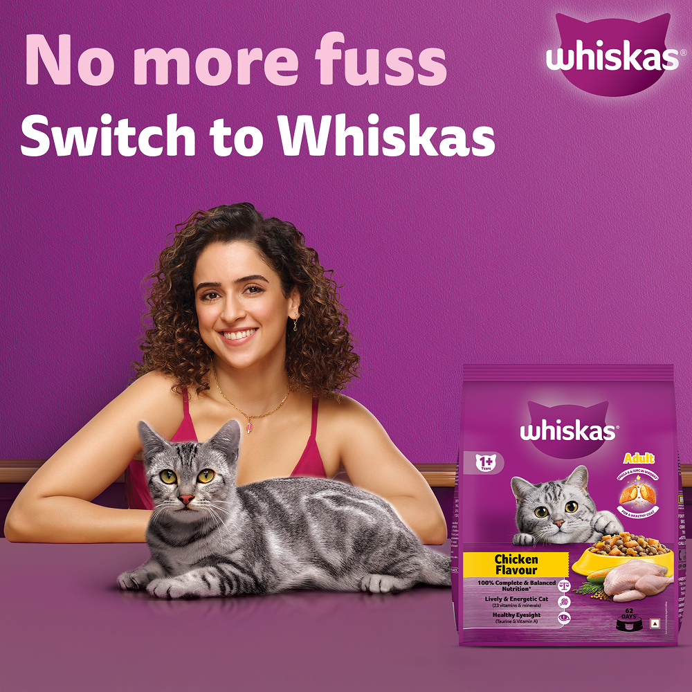 Whiskas Chicken Flavour Cat (Adult 1+) Dry Food image 2