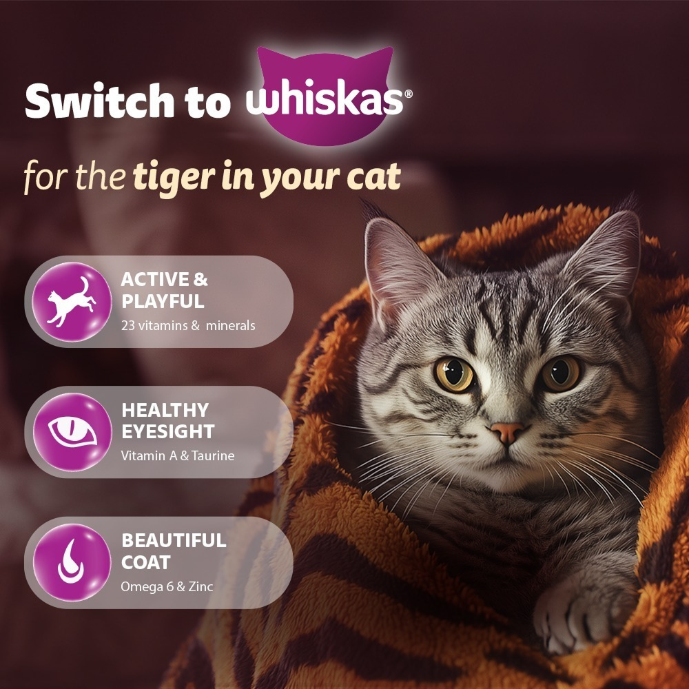Whiskas Chicken Flavour Cat (Adult 1+) Dry Food image 5