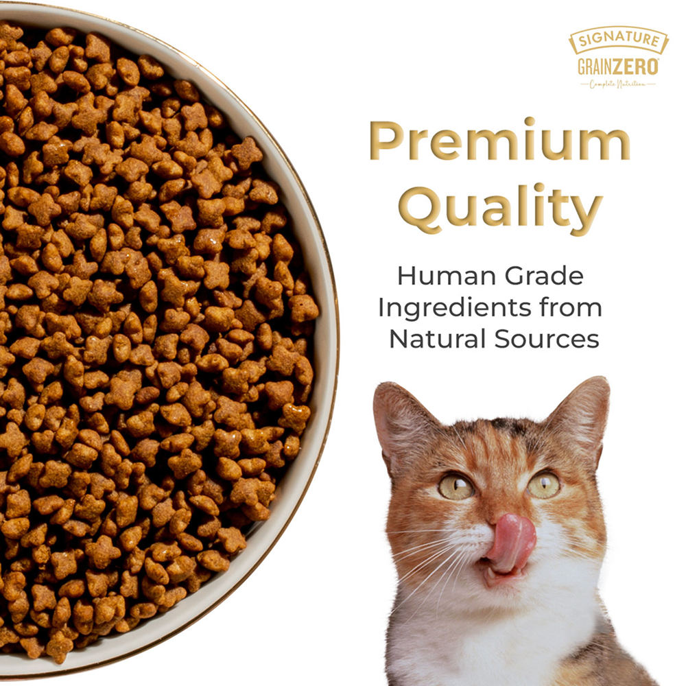 Signature Grain Zero Ocean Fish, Sardine and Mackerel Mother and Kitten Cat Dry Food image 8
