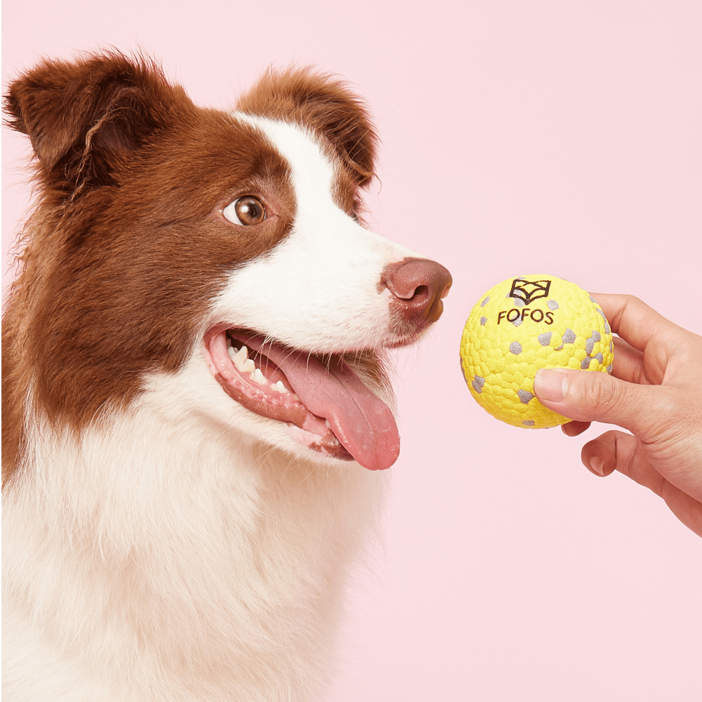 Barkbutler x Fofos Super Bounce Chew Ball for Dogs (Yellow) | For Aggressive Chewers image 7