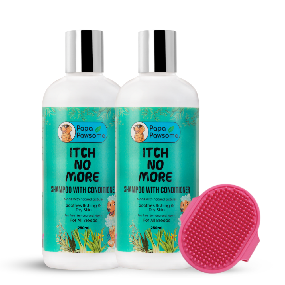 Papa Pawsome Itch No More Shampoo with Conditioner and Assorted Brush or Toy for Dogs