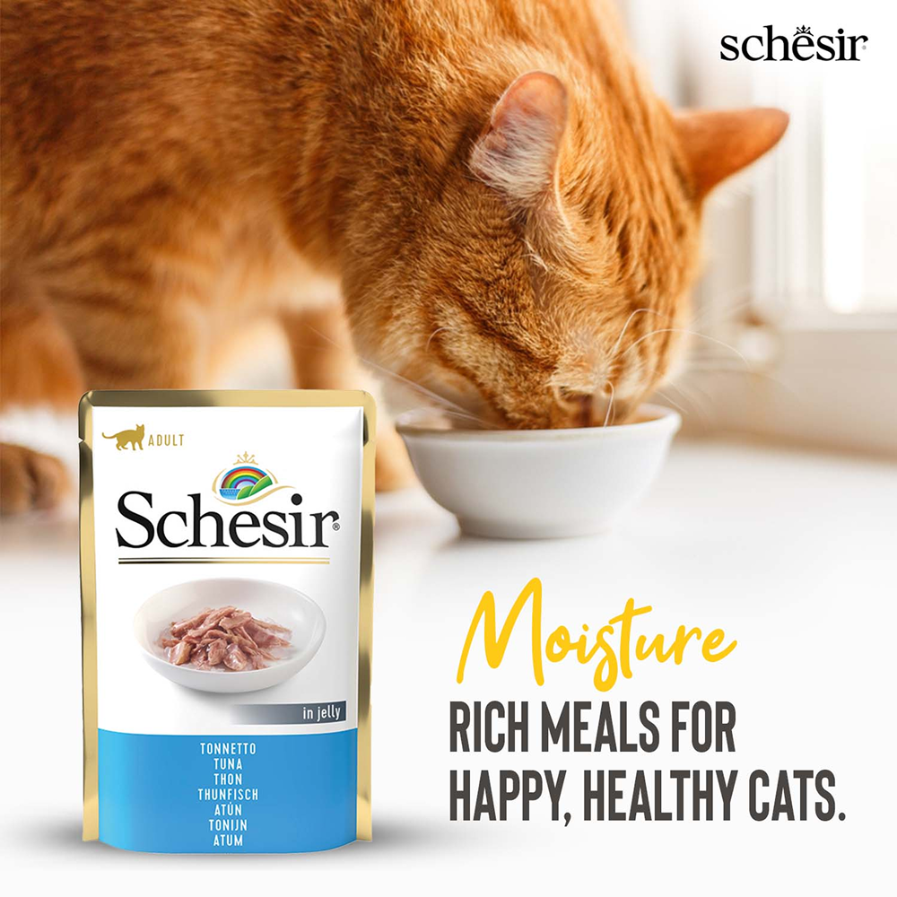 Schesir Tuna in Jelly Adult Cat Wet Food image 5