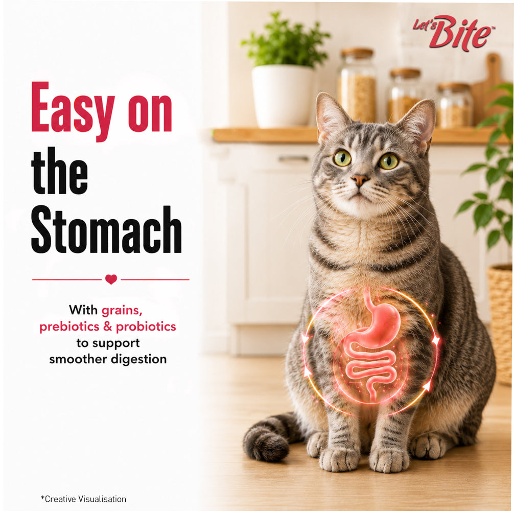 Let's Bite Active Adult Ocean Fish Dry Cat Food image 7
