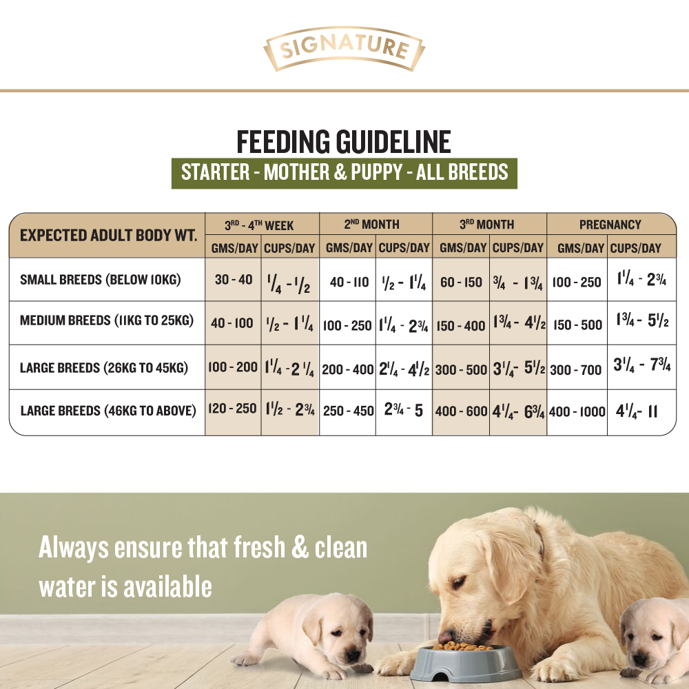 Signature Grain Zero Real Chicken, Egg and Vegetables Mother and Puppy Starter Dog Dry Food image 4
