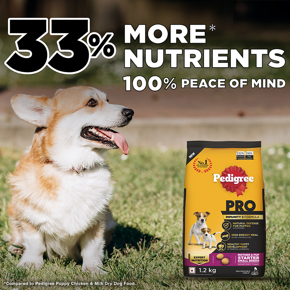 Pedigree PRO Expert Nutrition Lactating/Pregnant Mother & Puppy Starter (3 to 12 Weeks) Small Breed Dog Dry Food image 3