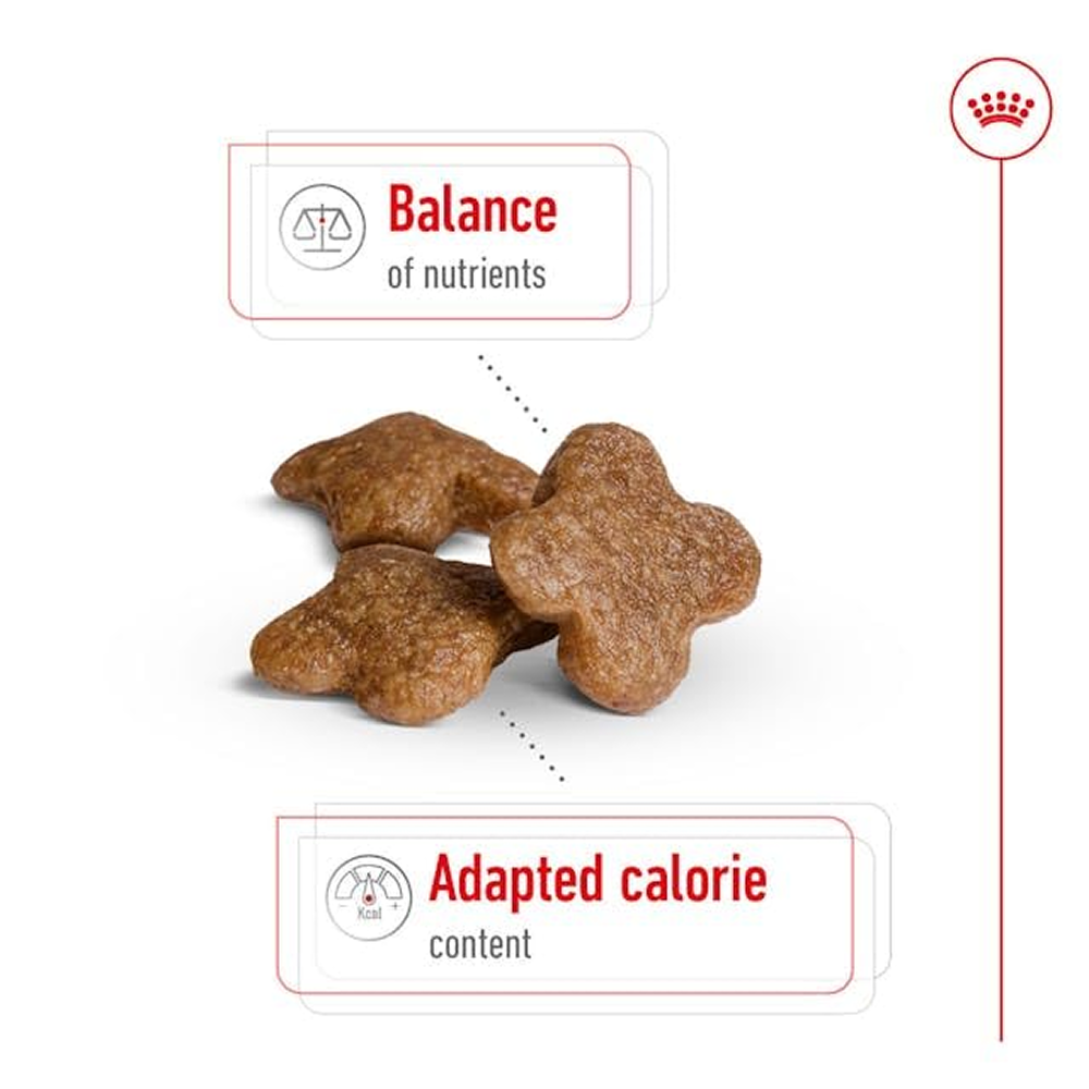 Royal Canin Mini Adult Dog Dry Food with 8+ Years of age image 2