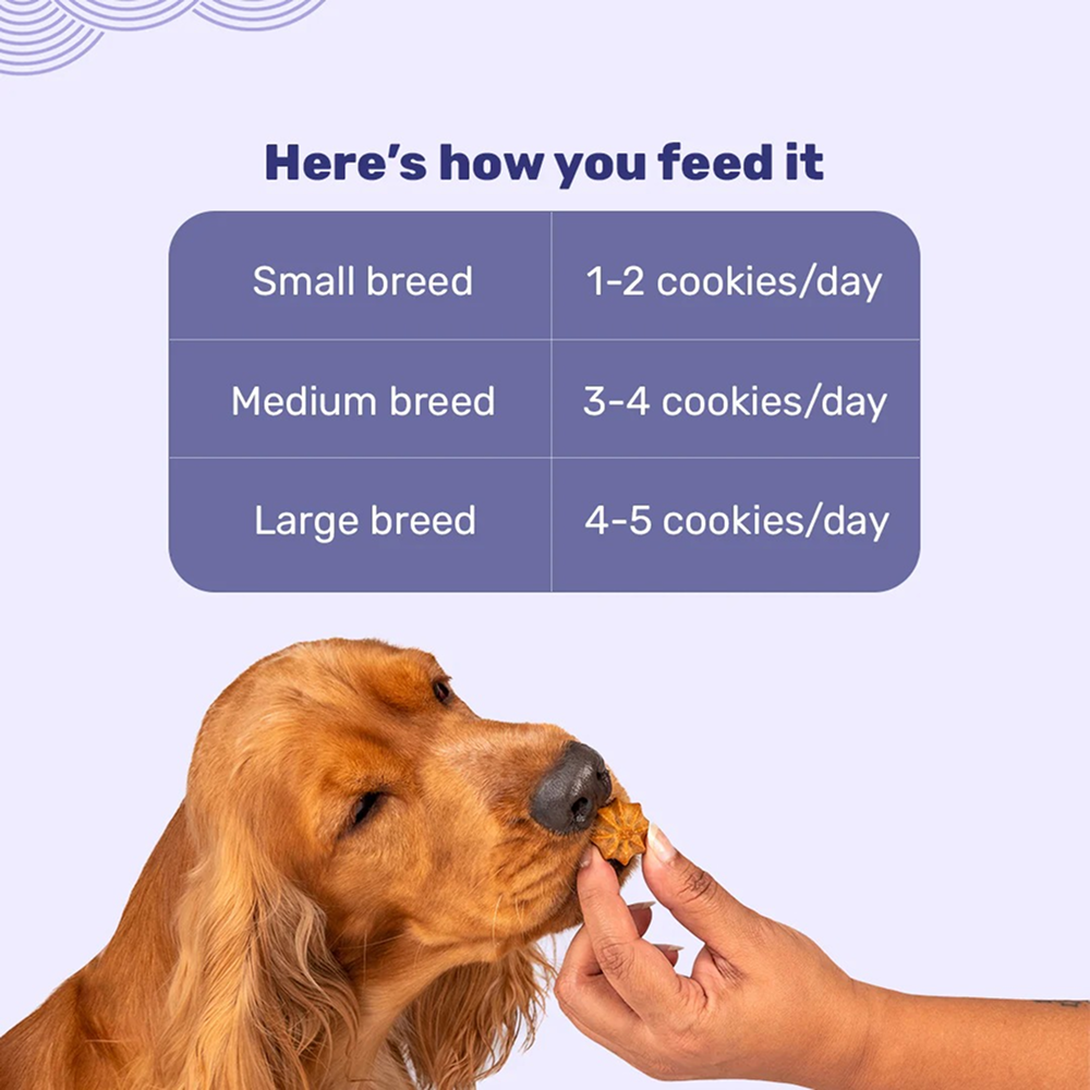 HUFT Gluten Free Goat Milk & Blueberry Cookie Dog Treats image 5