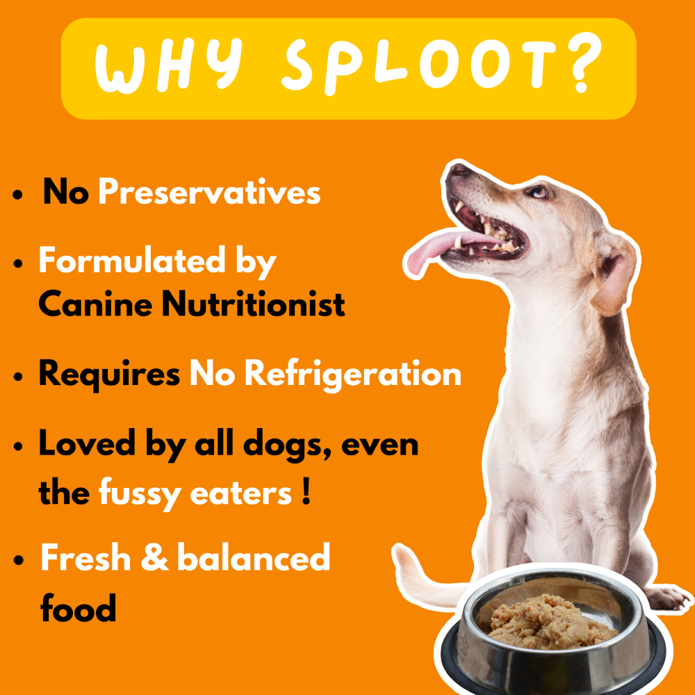 Sploot Meals Millet O Fish Dog Wet Food image 2