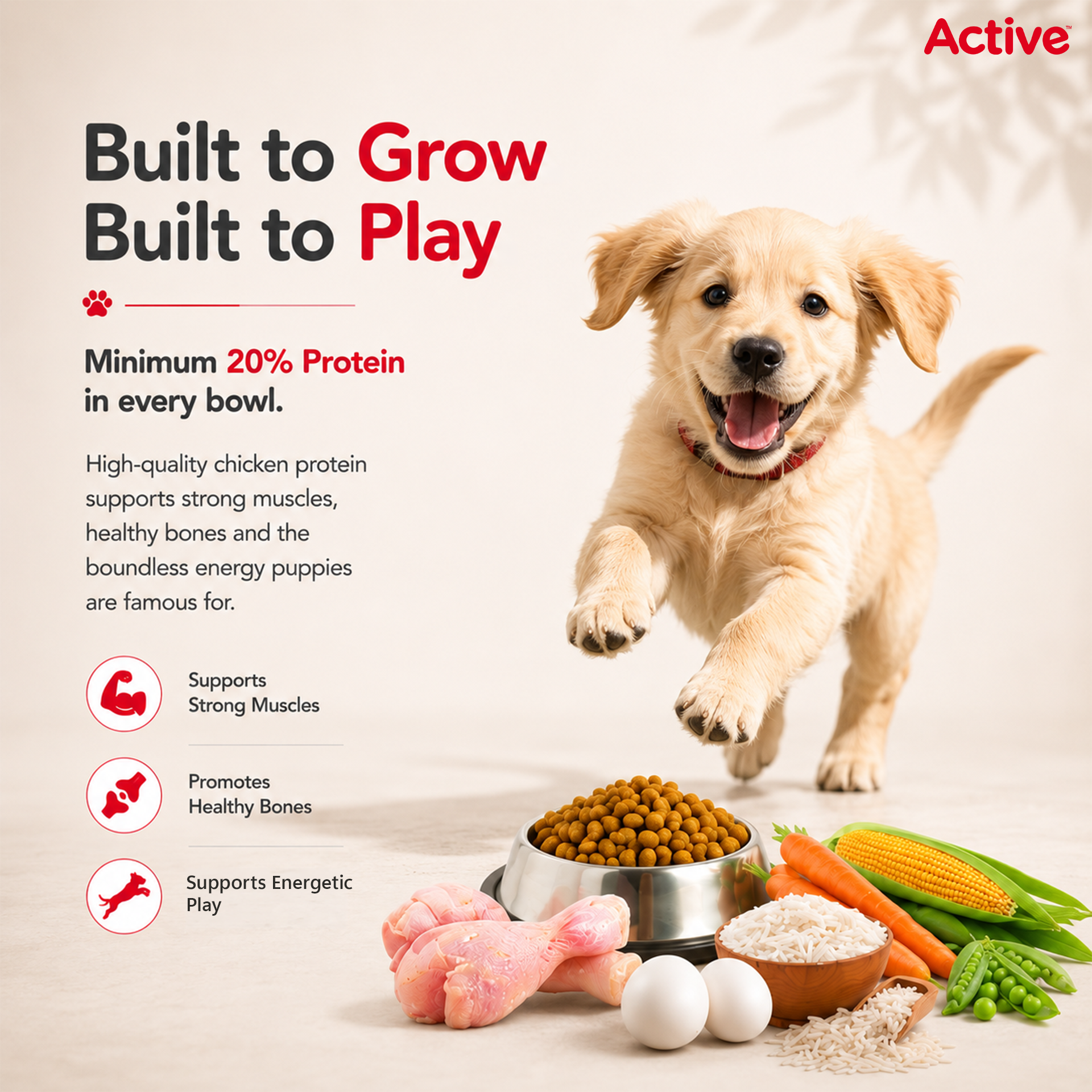 Active Chicken and Vegetables Puppy Dog Dry Food (Buy 1 Get 1) image 5