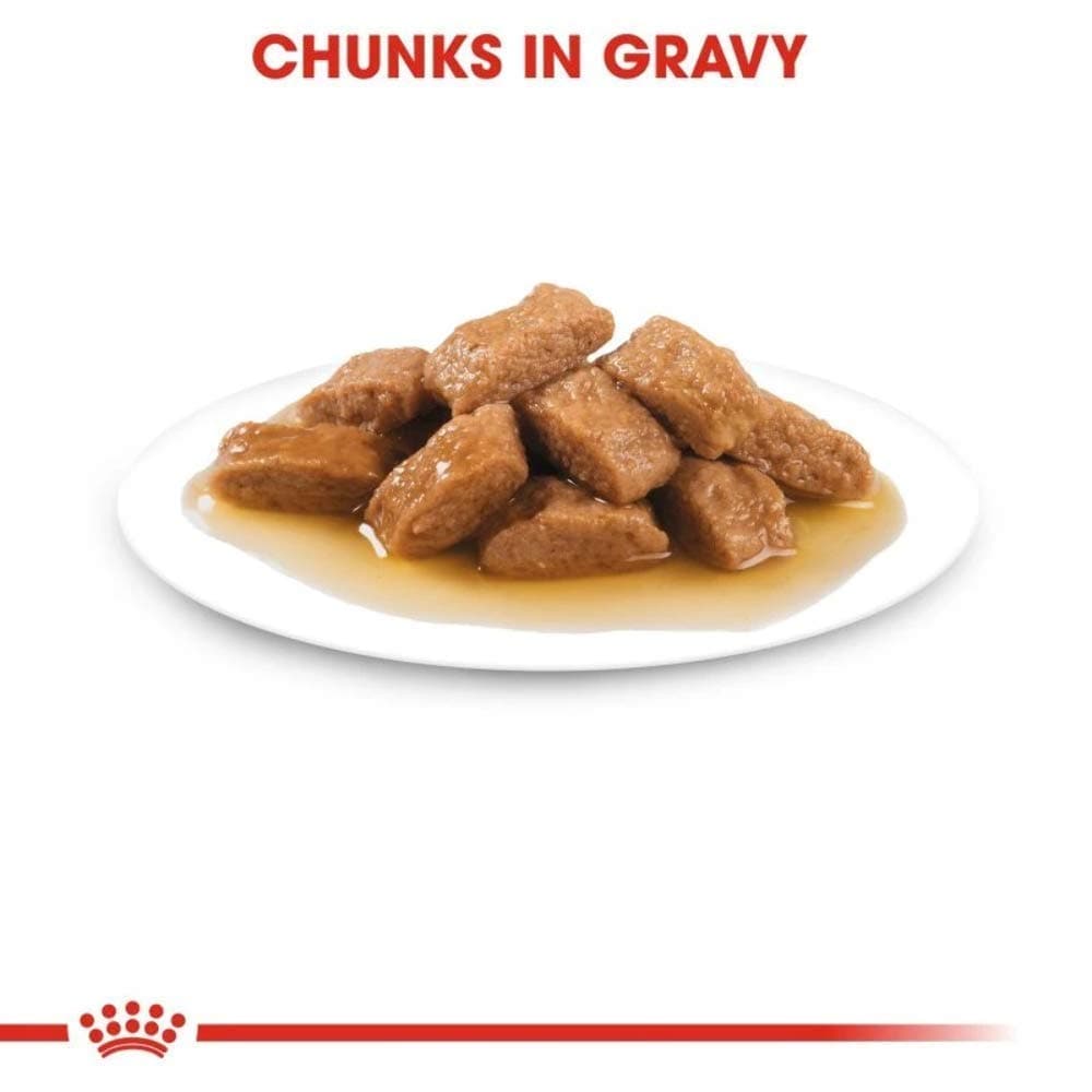 Royal Canin Medium Adult Dog Wet Food image 6