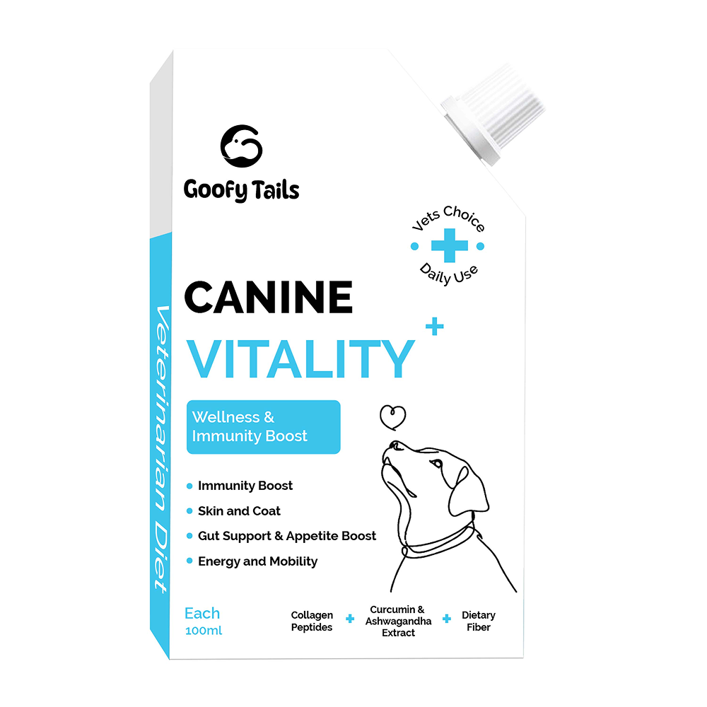 Goofy Tails Chicken Flavoured Canine Vitality + Wellness & Immunity Booster Supplement for Dogs