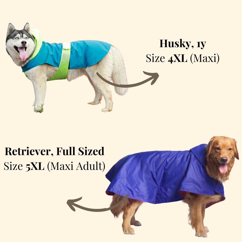 Pet Set Go Dual Colour Cape Style Raincoat for Dogs (Pink) image 7