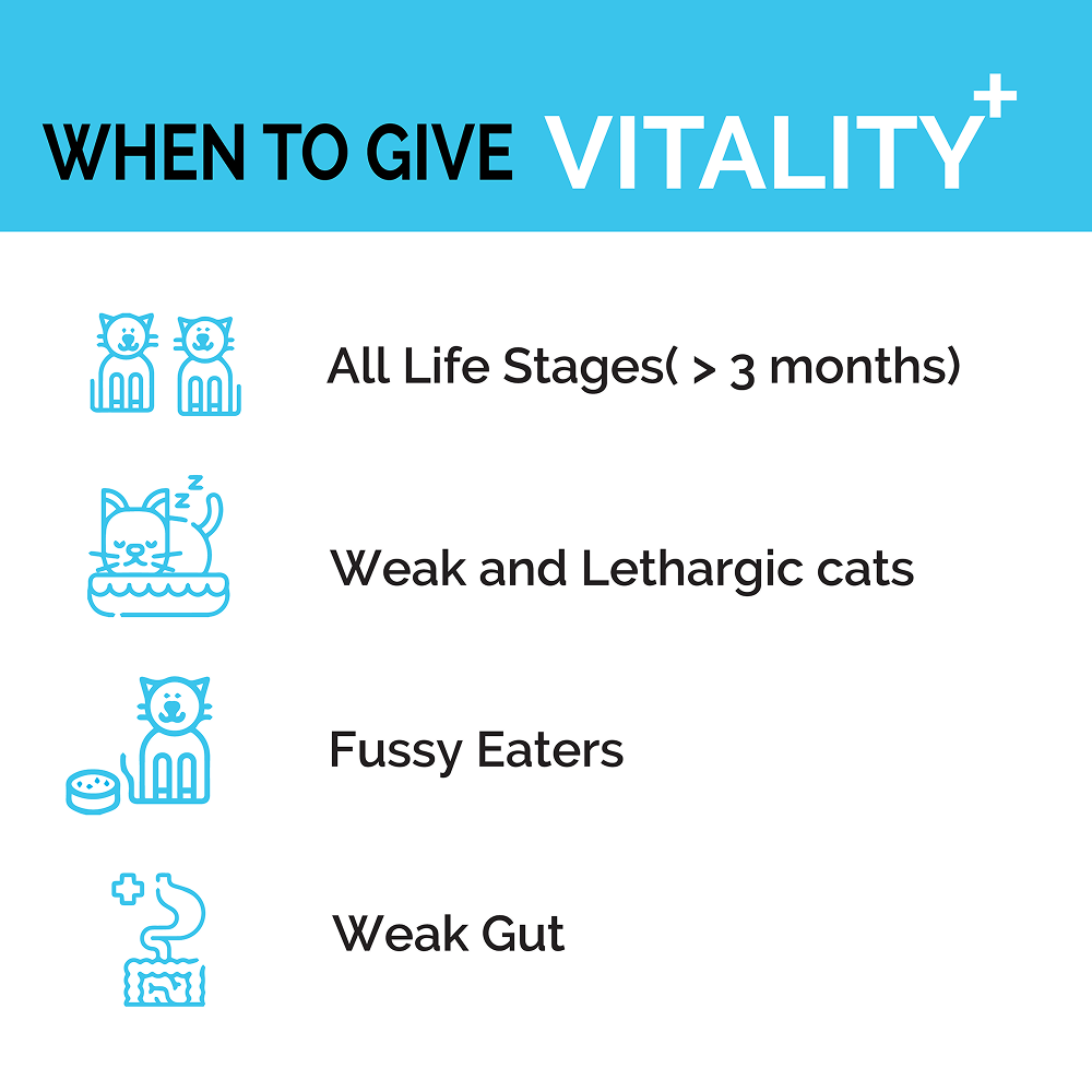 Goofy Tails Chicken Flavoured Feline Vitality + Wellness & Immunity Booster Supplement for Cats image 7