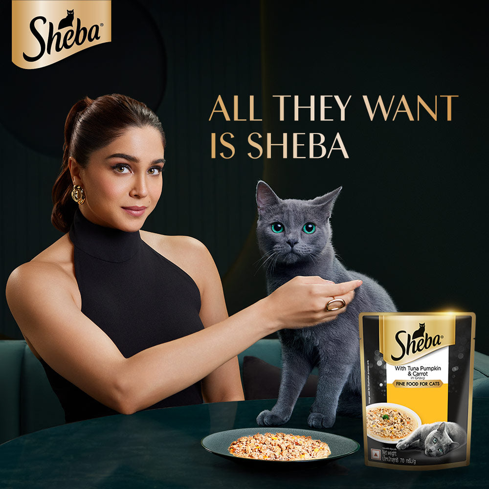 Sheba Tuna Pumpkin & Carrot In Gravy and Whiskas Tuna in Jelly Cat Wet Food Combo image 5