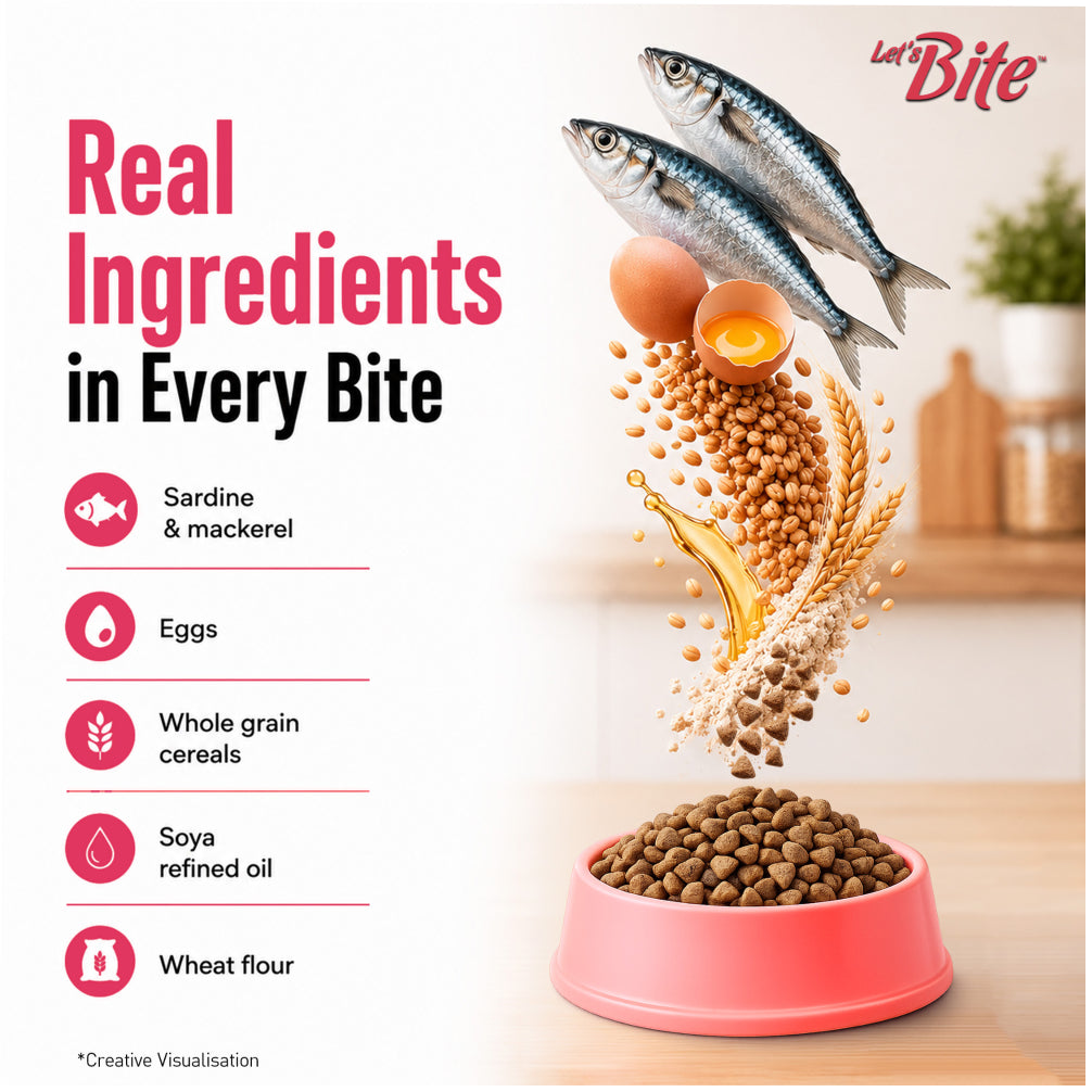 Let's Bite Active Adult Ocean Fish Dry Cat Food image 4
