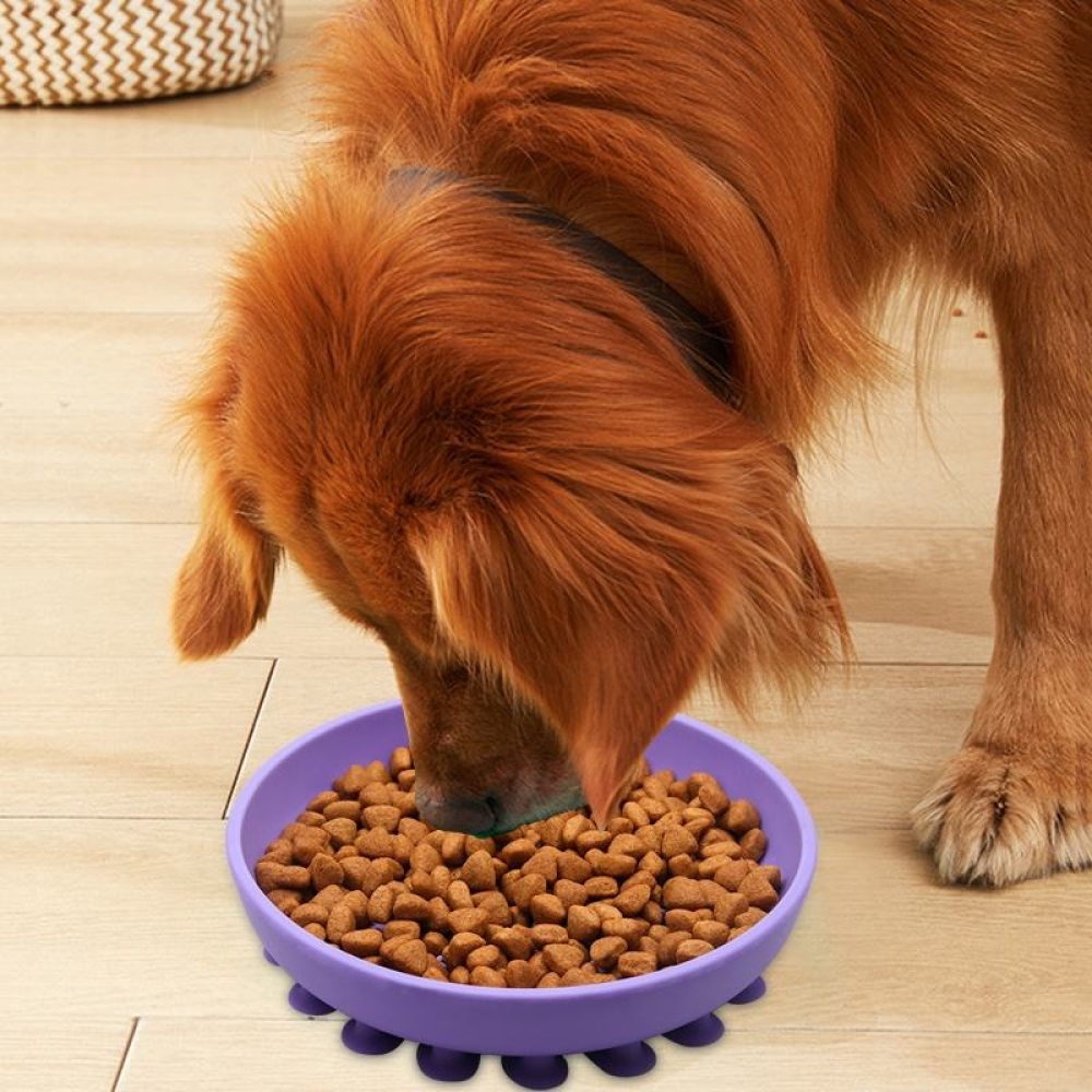 Talking Dog Club Lickables Licking Bowls for Dogs and Cats (Pink) image 8
