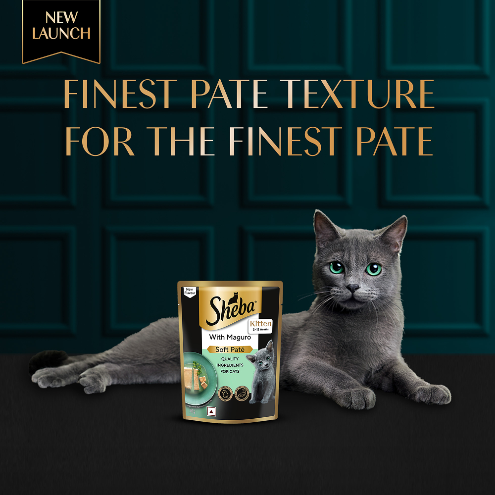 Sheba Maguro Pate Rich Premium Kitten Cat Wet Food image 8
