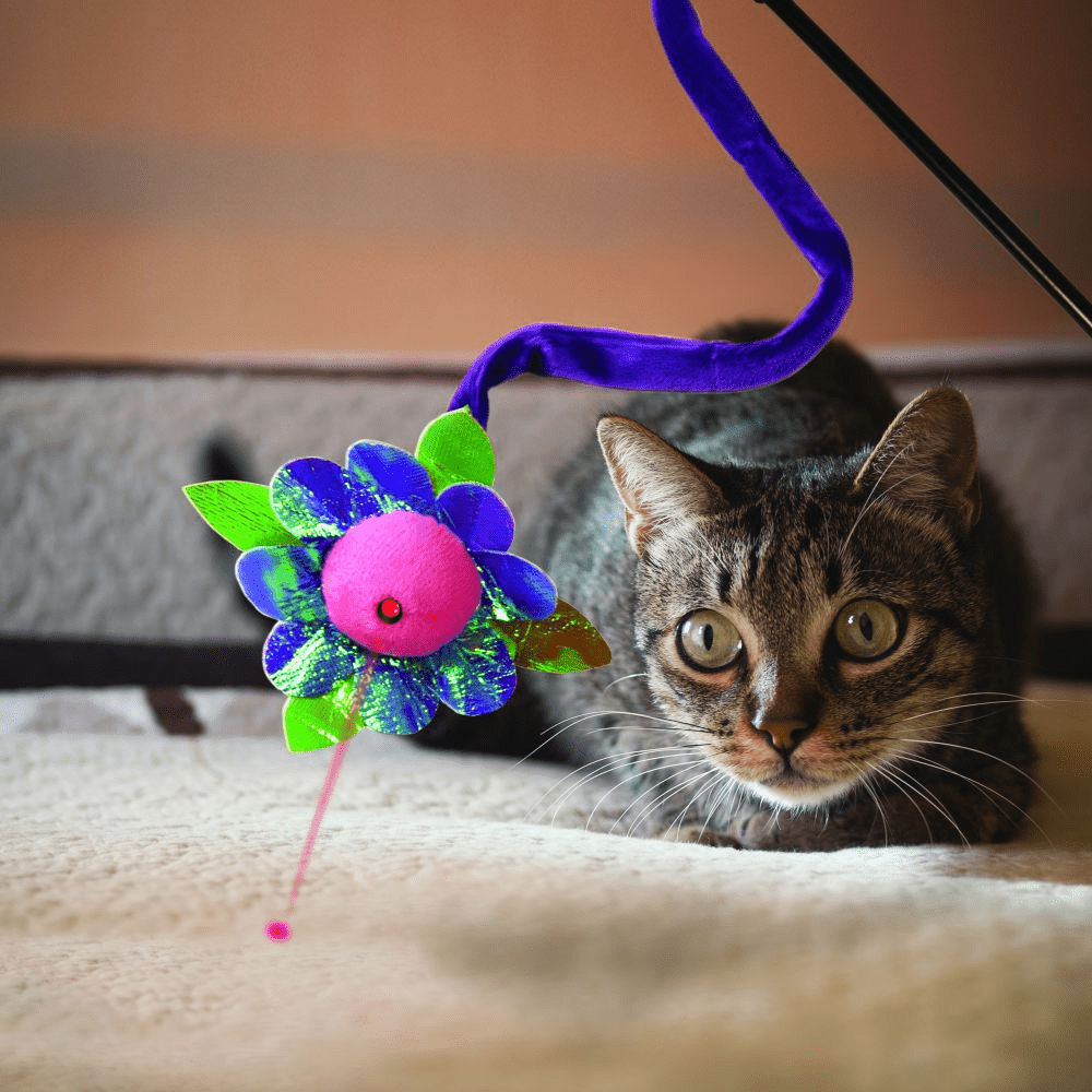 Kong Laser Teaser Characters Toy for Cats image 4