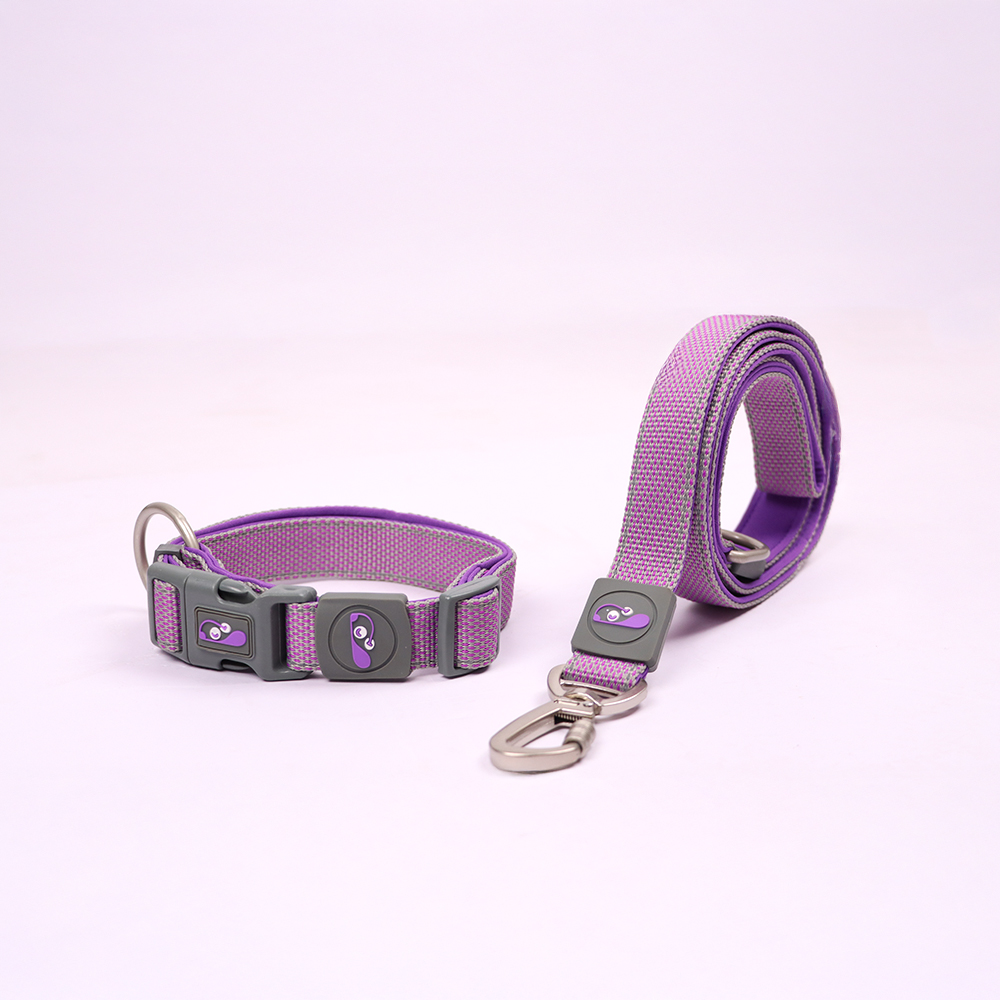 Skatrs Adjustable Collar for Dogs & Cats (Purple) image 3