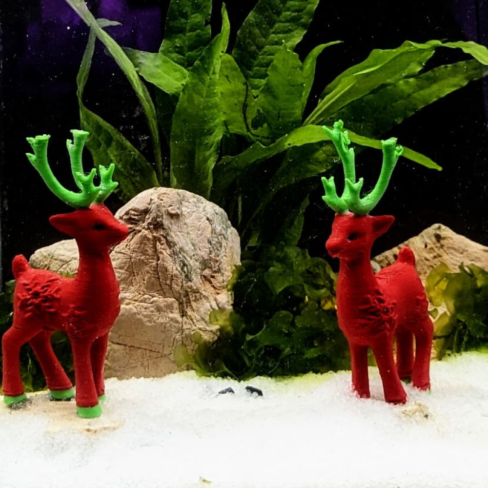 Splashy Fin White Sugar Sand for Aquarium image 2