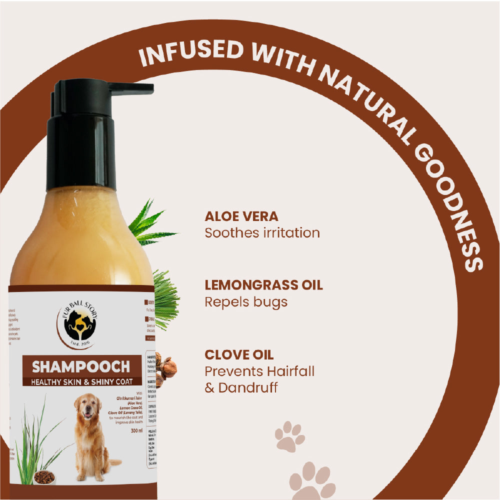 FurBall Story Shampooch Healthy Skin & Shiny Coat Shampoo for Dogs image 4