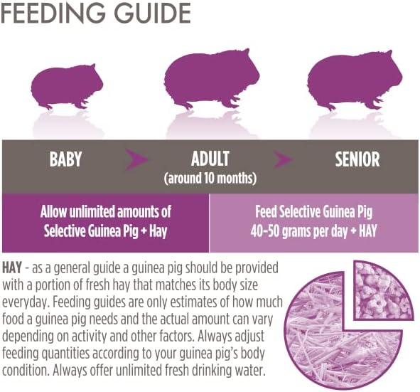 Science Selective Junior Guinea Pig Food image 2