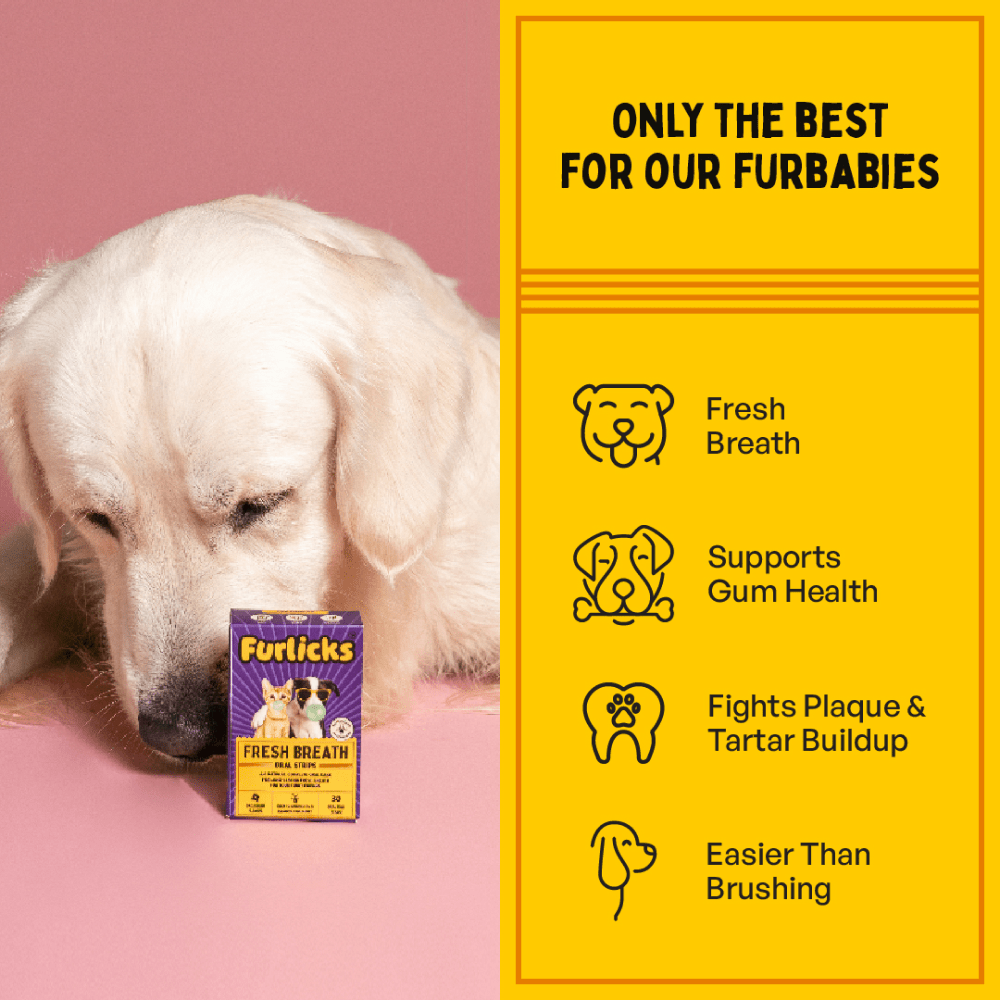 Furlicks Fresh Breath Oral & Gut Health Strips Combo for Cats and Dogs image 4
