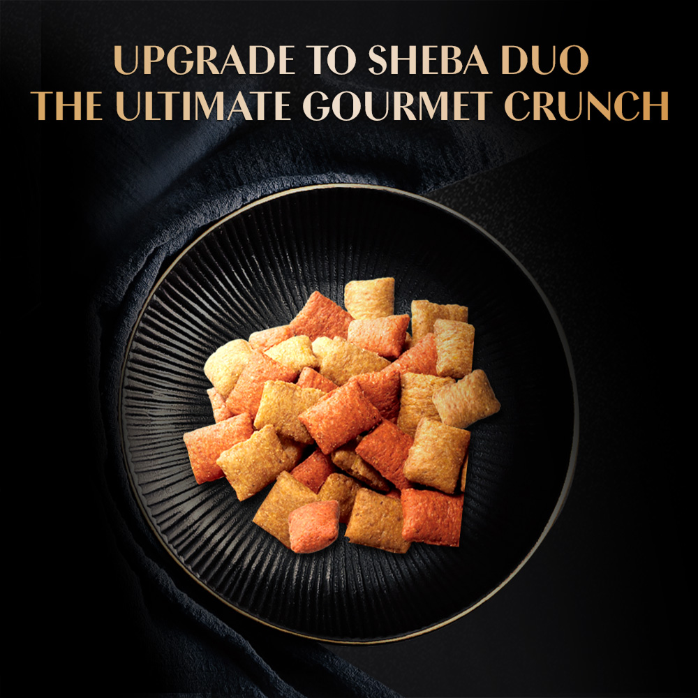 Sheba Duo Tuna & Chicken, Salmon & Tuna, Chicken & Salmon Crunchy Adult Cat Treats image 10