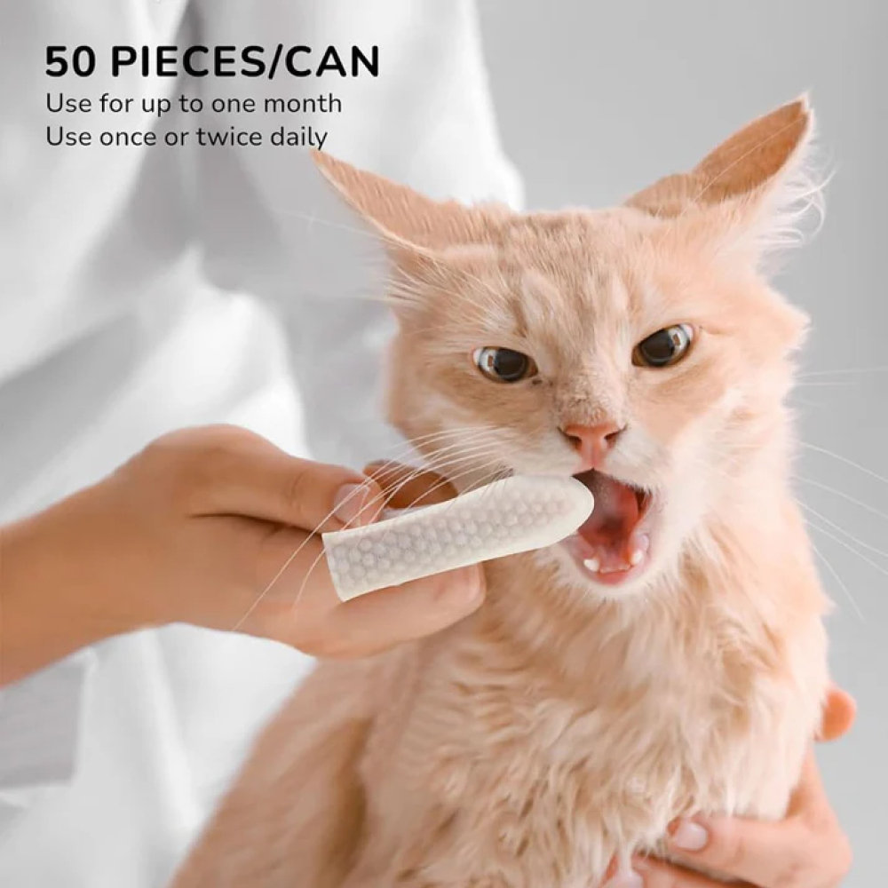 QPets Finger Dental Wipes for Dogs and Cats image 6