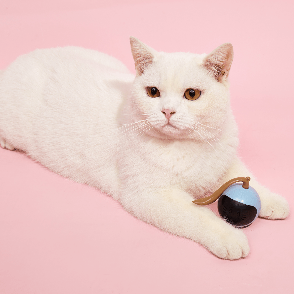 Barkbutler x Fofos Magic Ball Tumbler Smart Toy for Cats (White) image 7
