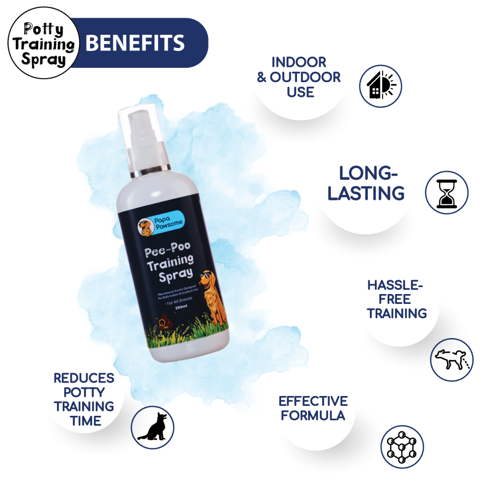 Papa Pawsome Pee Poo Potty Training Spray and Assorted Brush or Toy for Dogs and Cats image 3