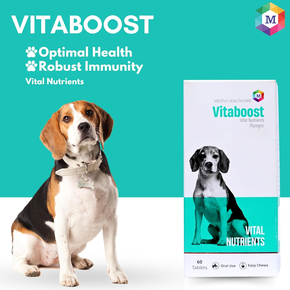 Medfly Healthcare Vitaboost for Dogs and Cats (Pack of 60 Tablets) image 4