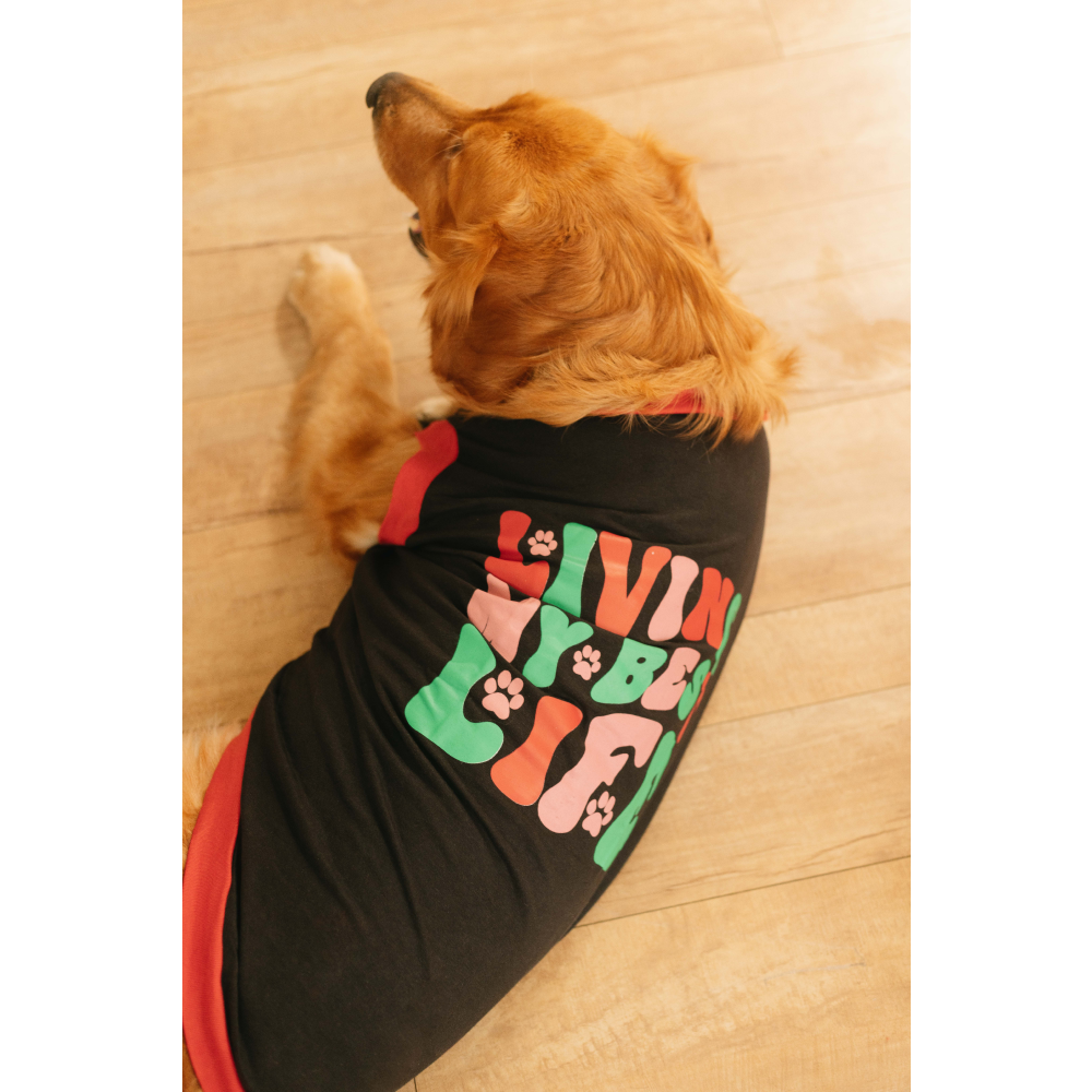 Pet Set Go Living My Best Life T-shirt for Dogs (Black) image 8