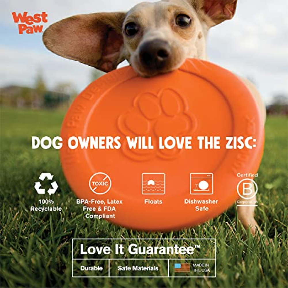 West Paw Design Glow in the Dark Zisc for Dogs (Assorted) image 6