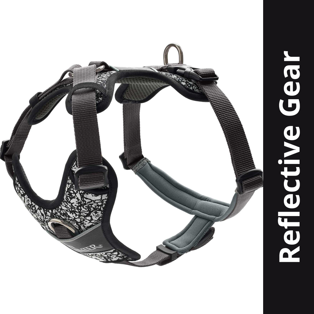 Hunter Divo Reflect Harness for Dogs (Black)