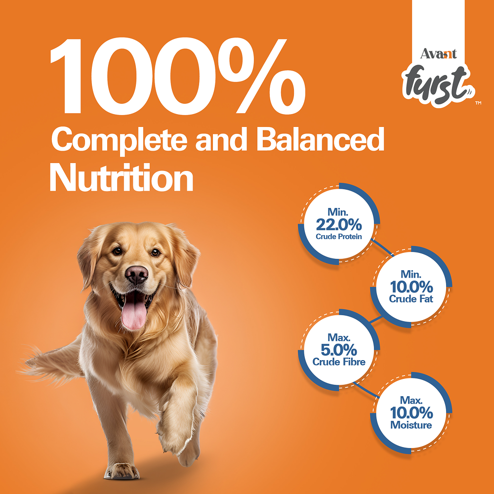 Avant Furst Chicken and Vegetable Adult Dog Dry Food image 8