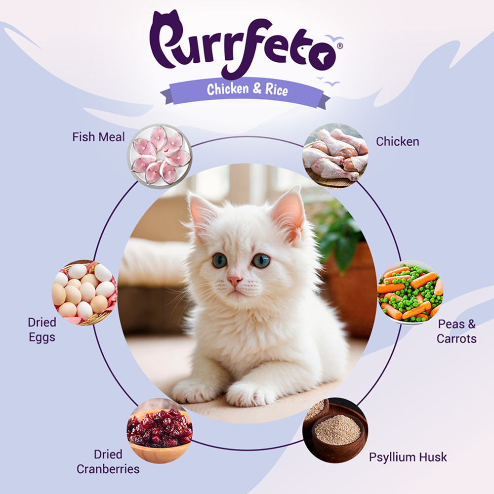 Purrfeto Chicken and Rice Kitten Cat Dry Food image 2