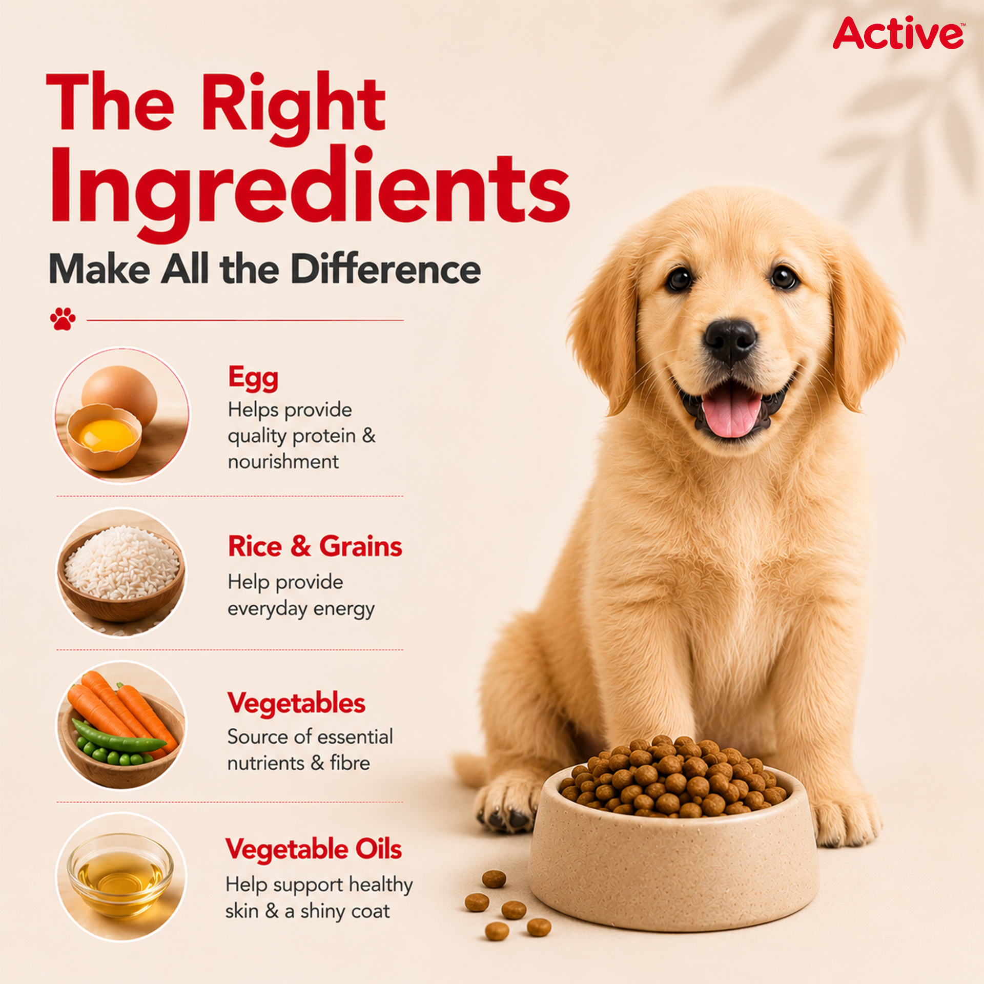 Active Chicken and Vegetables Puppy Dog Dry Food (Buy 1 Get 1) image 4