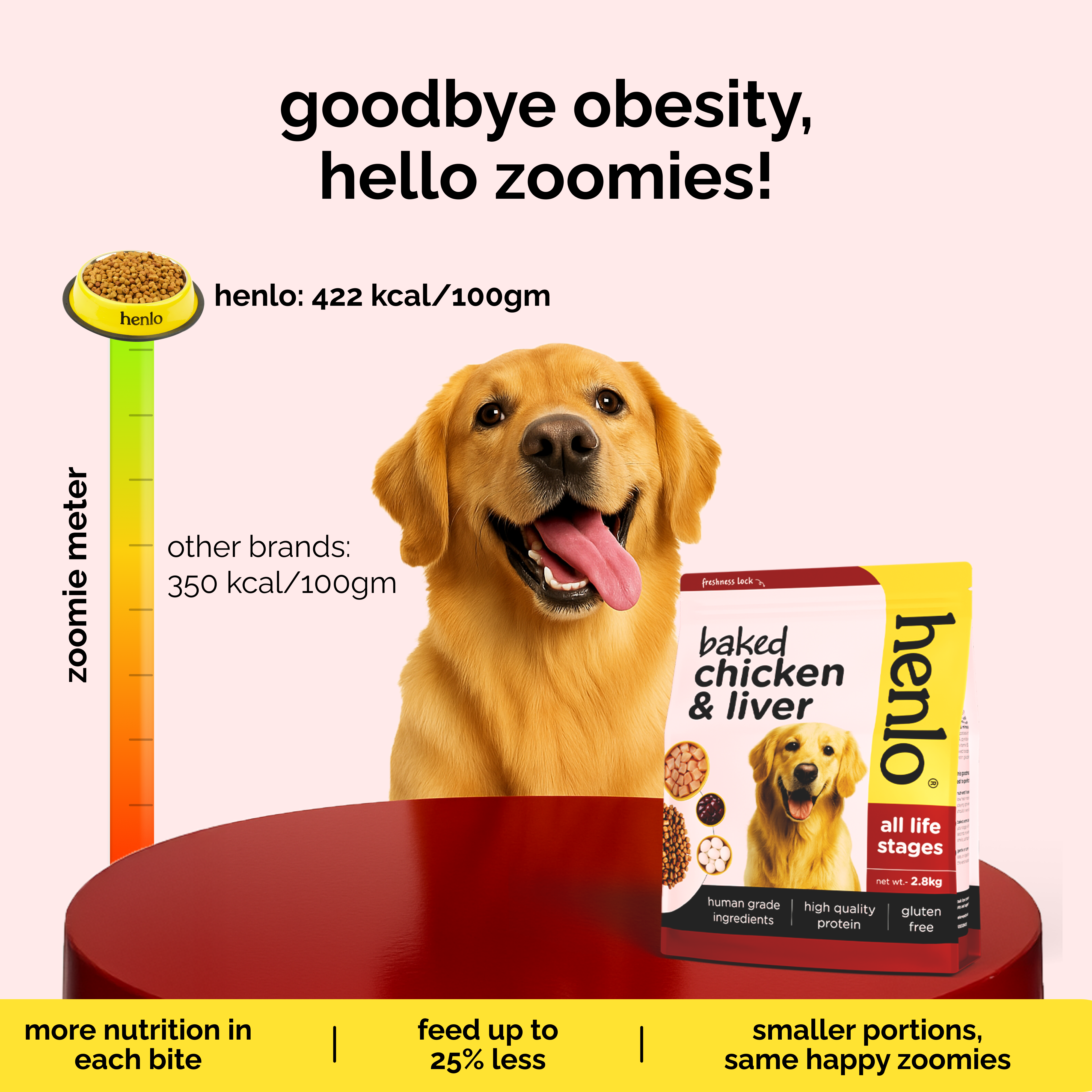 Henlo Baked Chicken & Liver Adult and Puppy Dog Dry Food | 100% human grade ingredients image 2