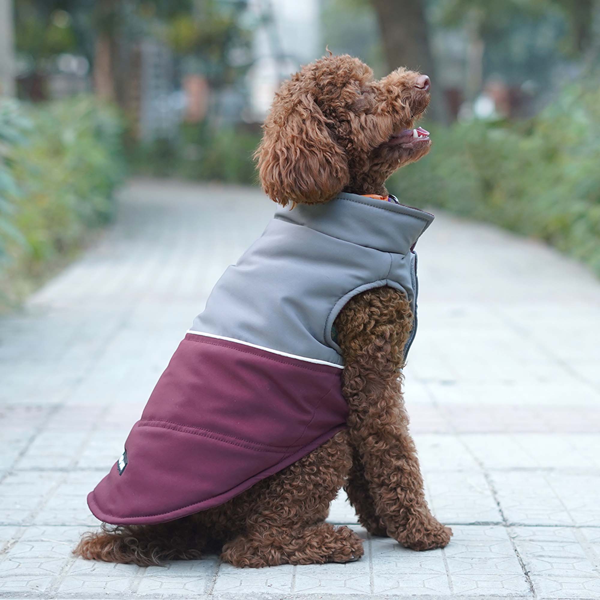 Pets Way Frost Winter Jacket for Dogs (Wine)