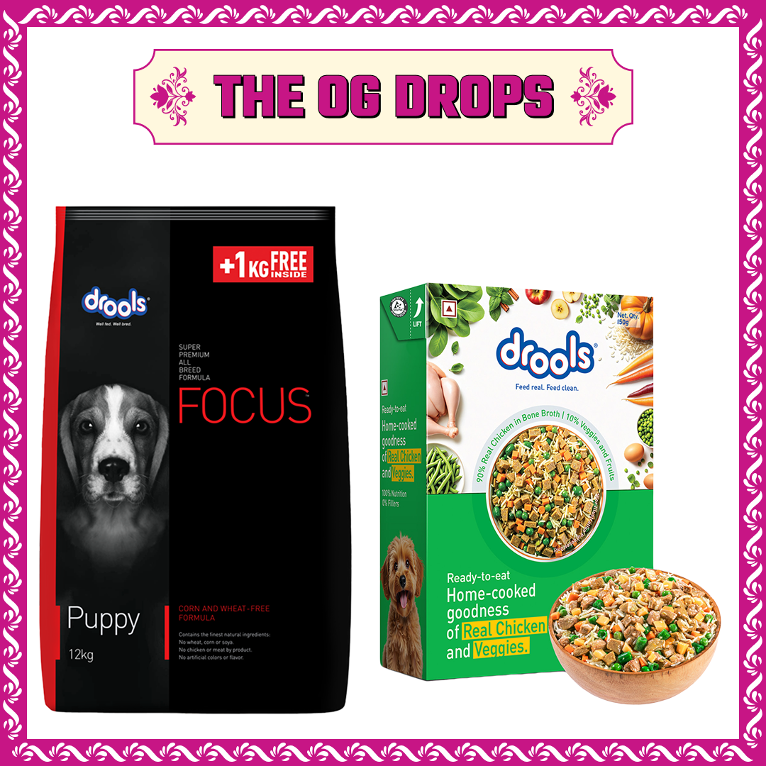 Drools Focus Super Premium Puppy Dog Dry Food | Corn & Wheat Free Formula image 3