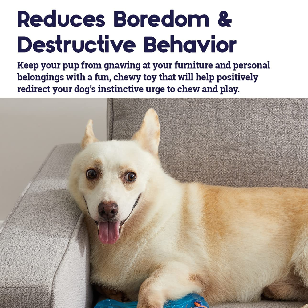 Petstages Orka Bone chew Toy for Dogs image 3