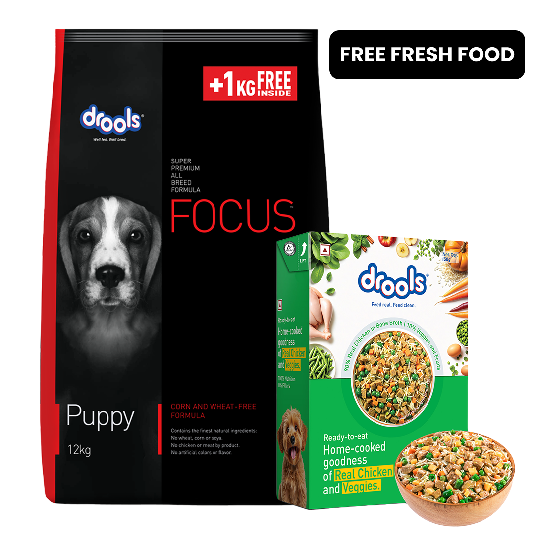 Drools Focus Super Premium Puppy Dog Dry Food | Corn & Wheat Free Formula image 2