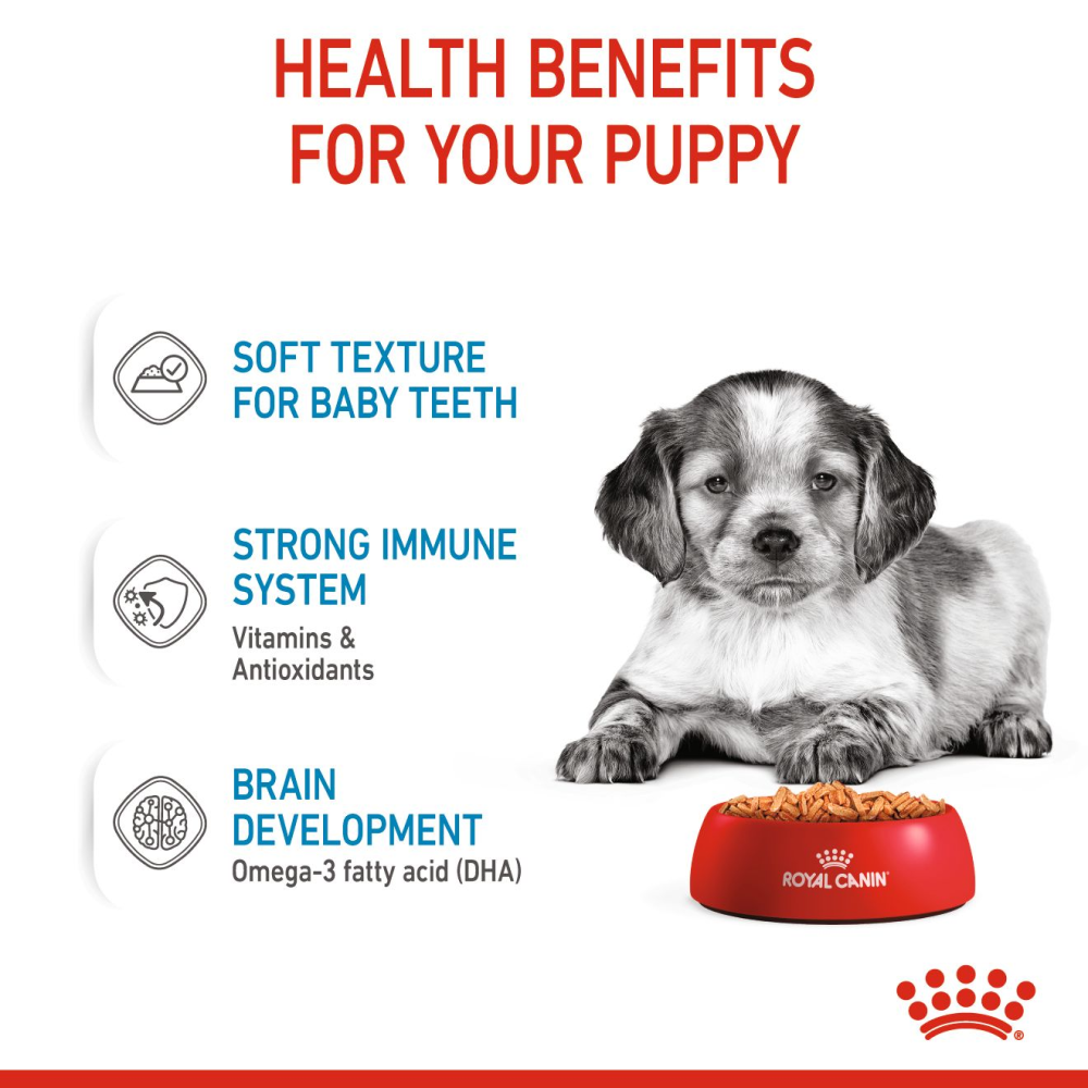Royal Canin Medium Puppy Dog Wet Food image 4