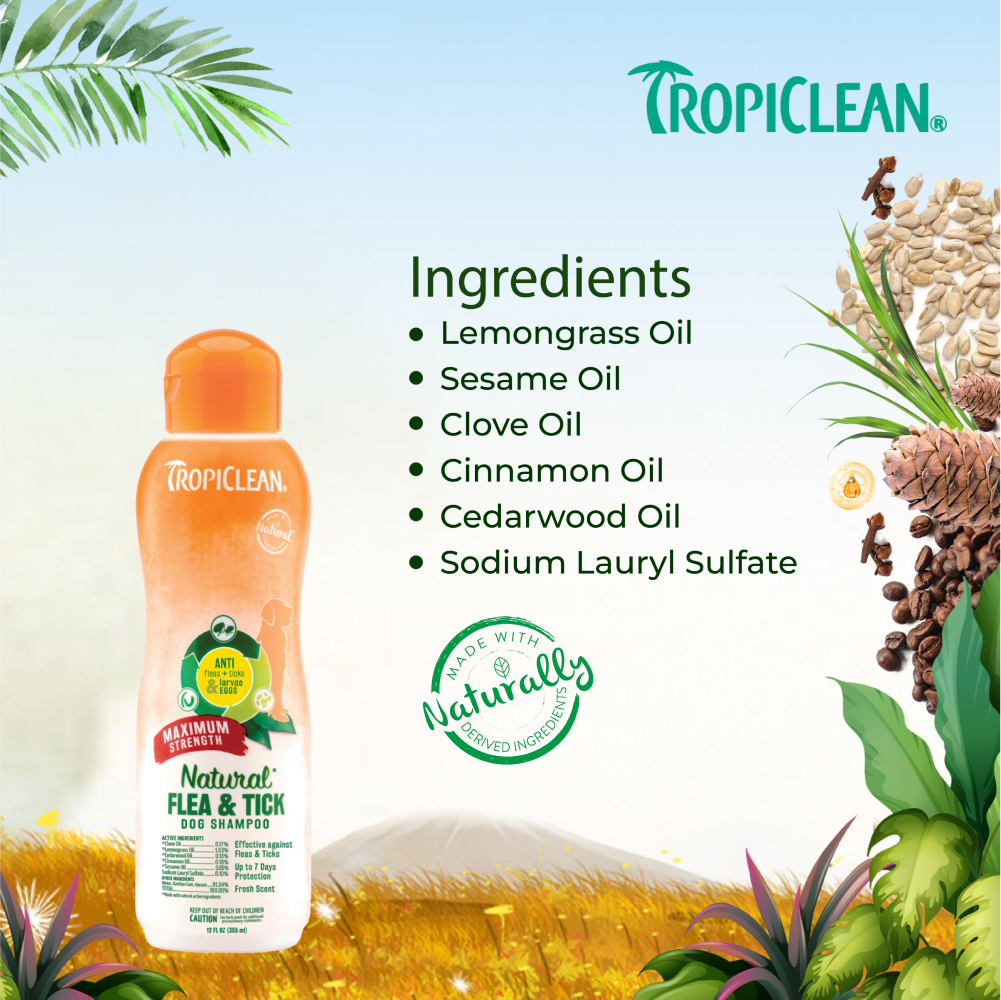 Tropiclean Maximum Strength Natural Flea & Tick Shampoo for Dogs image 4